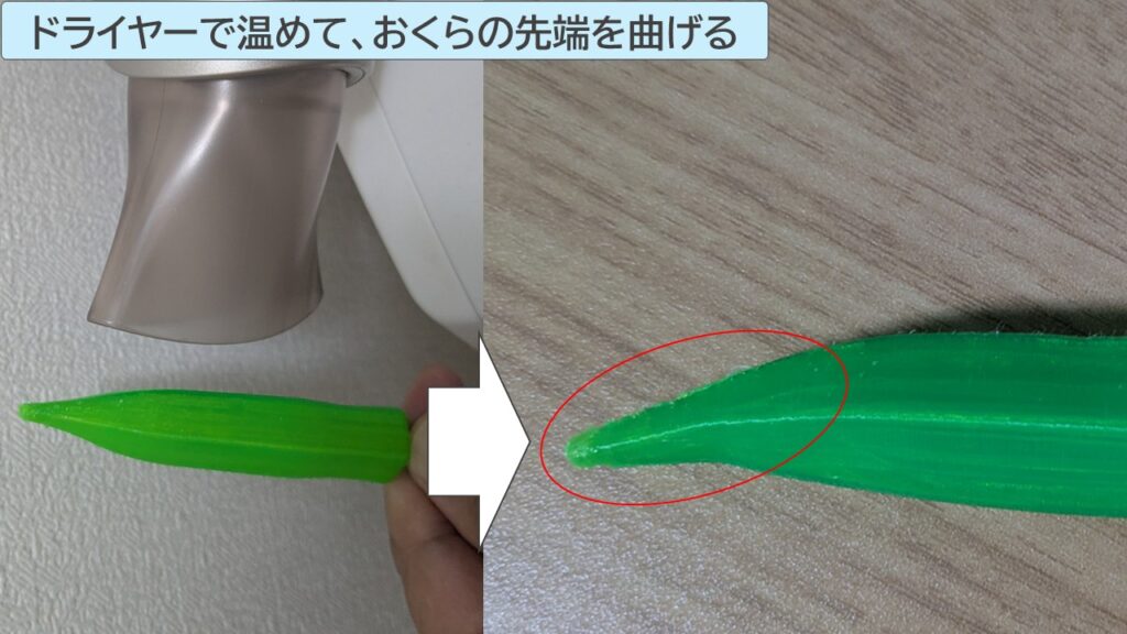 ドライヤーで温めて、おくらの先端を曲げる写真