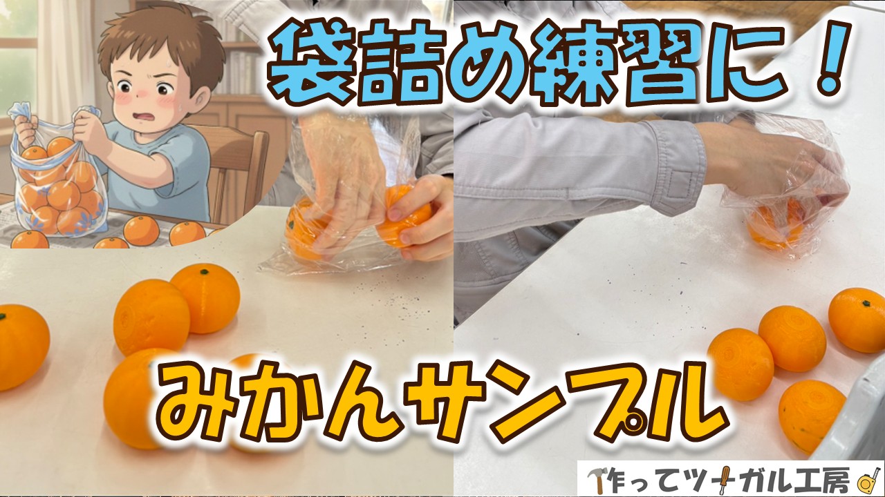 手作りみかんサンプルの写真